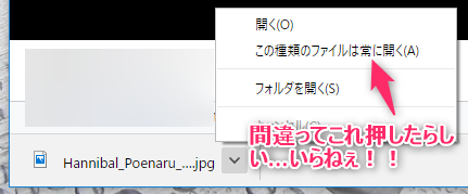 Chromeでダウンロードしたファイルを自動的に開かないようにする Doldoteaparty